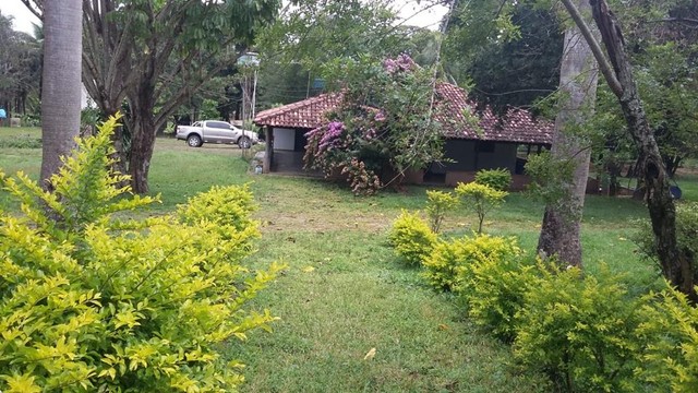 96 alqueires em Goianésia  - Foto 5