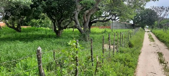 Oportunidade única Cascavel - Raridade - Foto 3