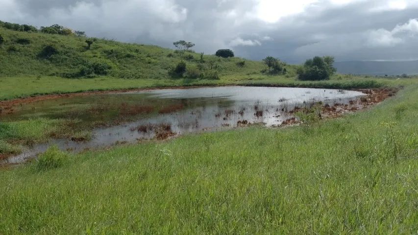 FAZENDA EM CRAVOLÂNDIA - 307 HECTARES - Foto 5