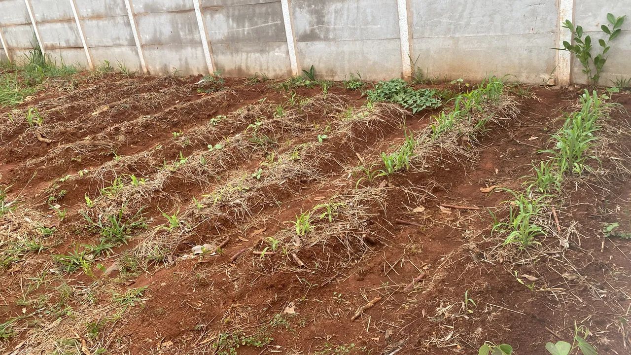 Lotão Mini chácara - Foto 5