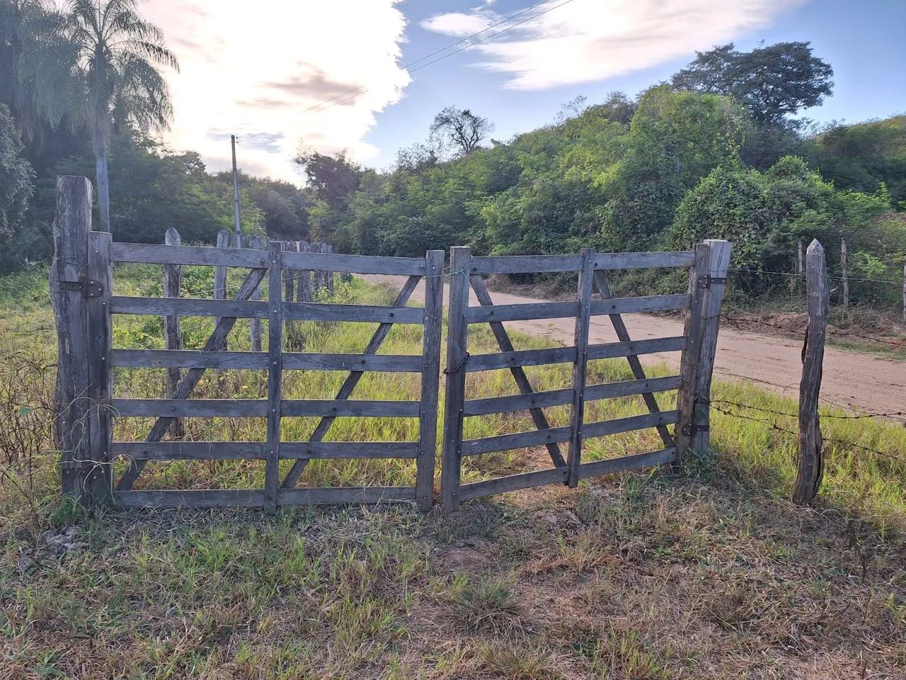 Fazenda Patarabia a venda - Foto 4
