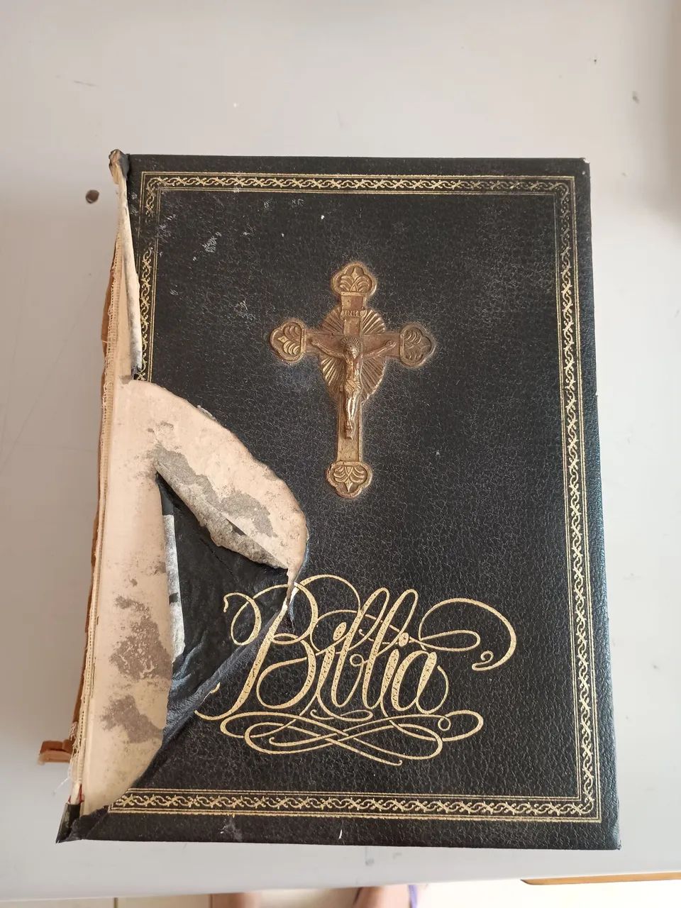 Bíblia Sagrada para restauro