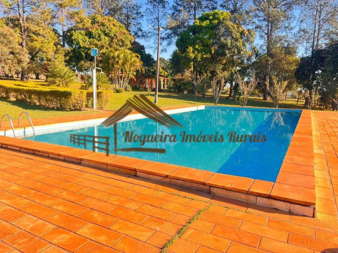 Sítio com 9,5 alqueires em Avaré-SP - Foto 6