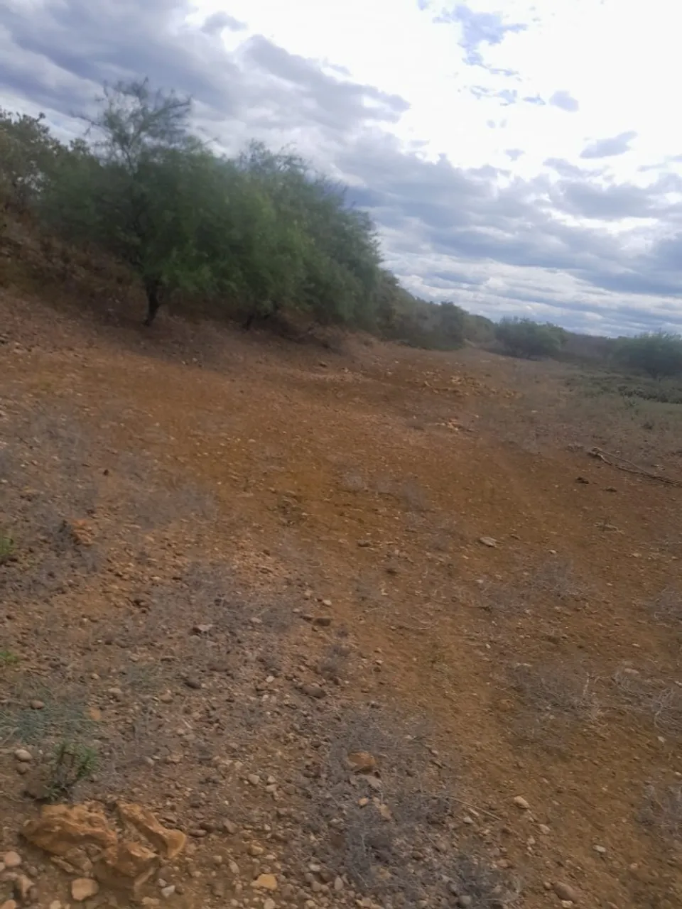 Terreno no Sítio Amargosa, 72 hectares, na cidade de Governador Dix-Sept Rosado