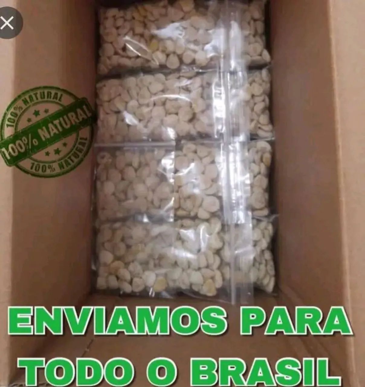 Nozes da india Revenda 