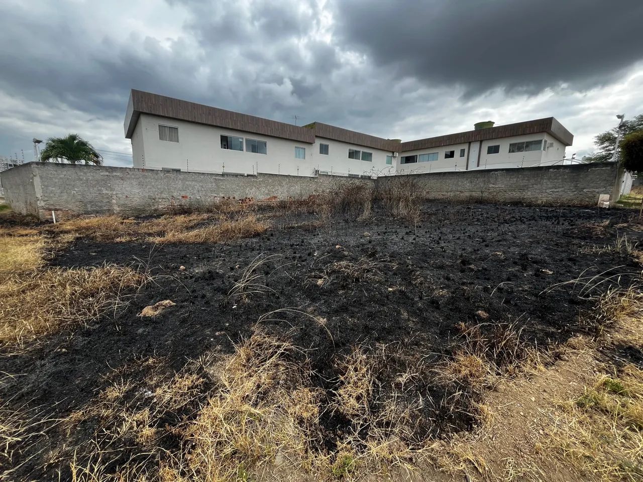 Terreno em ótima localização Maurício de Nassau  - Foto 3