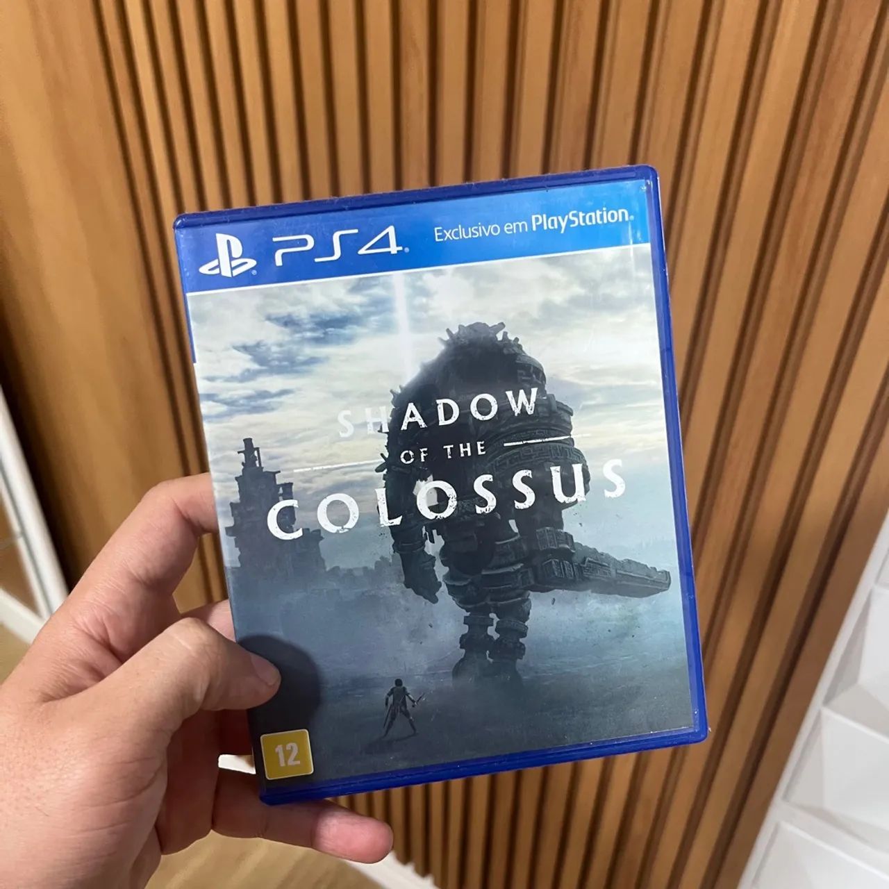 Shadow of the Colossus PS4