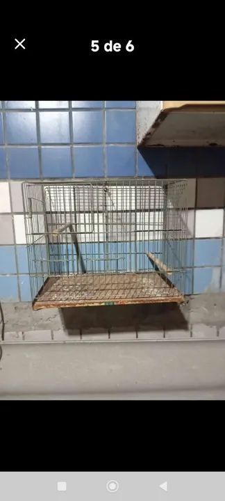 Gaiolas para pássaros - Foto 2