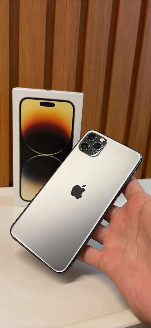 iPhone 11 Pro Max 64GB 100% bateria cinza - Celulares e