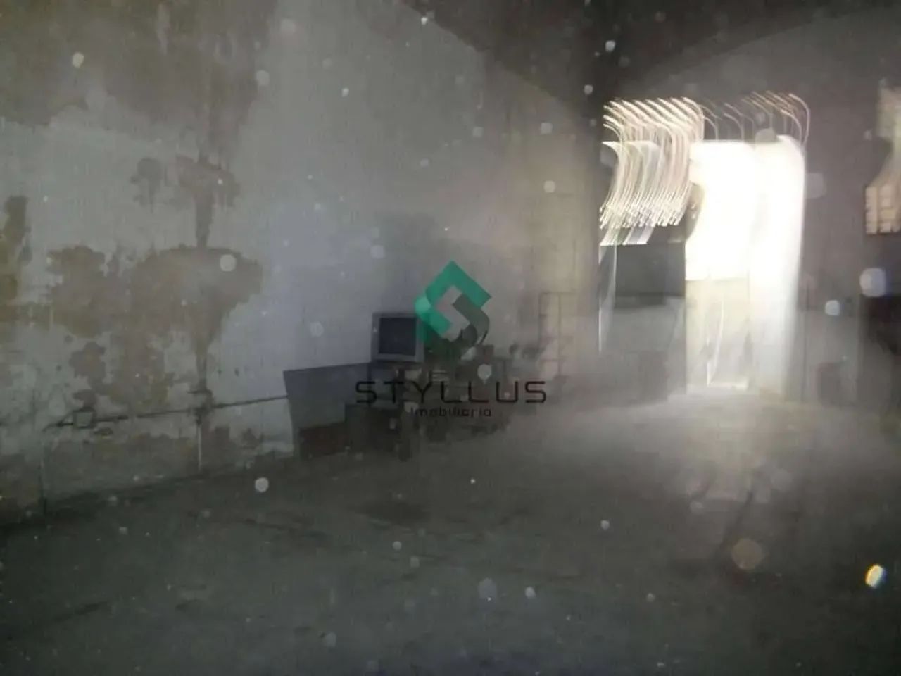 Jacaré | Loja - Foto 12