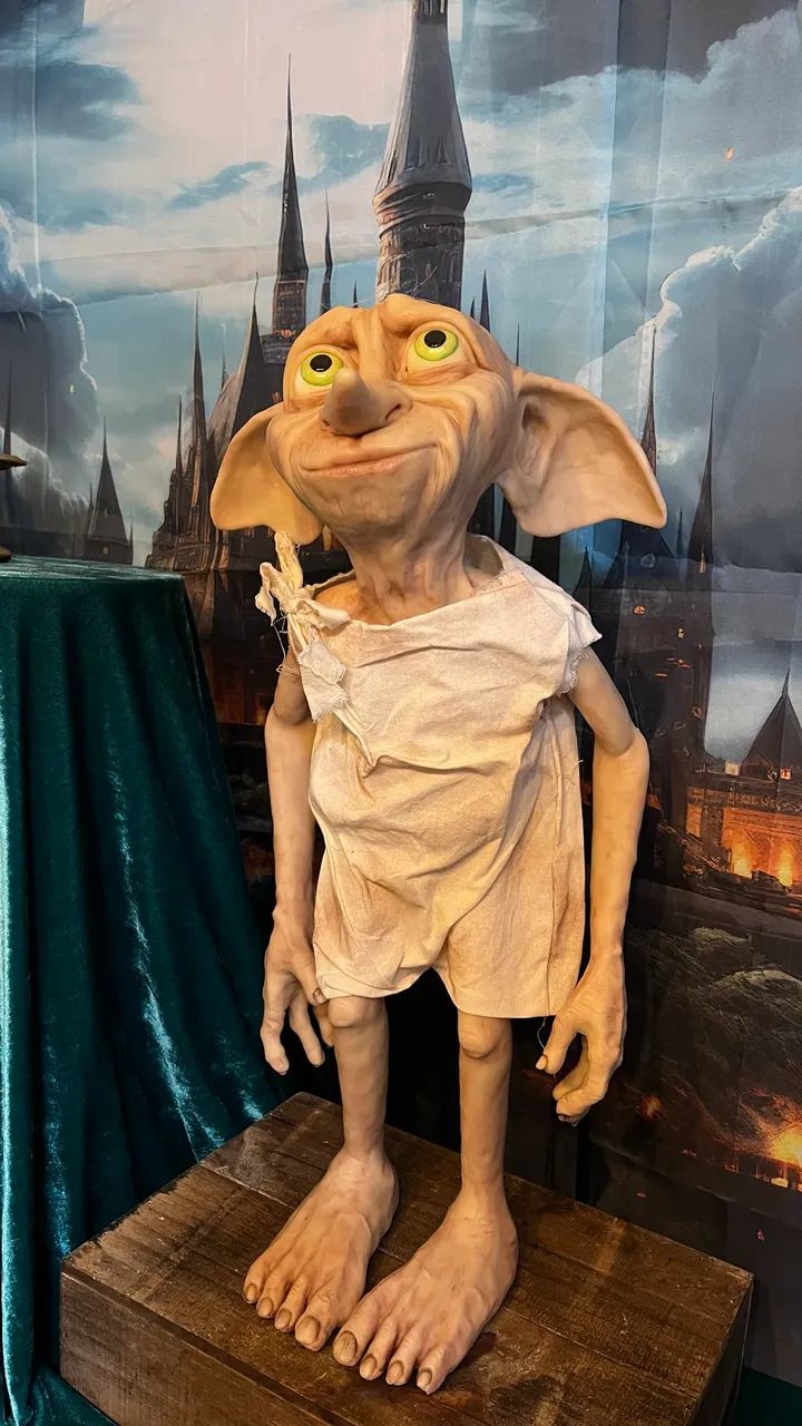 Dobby Realista  - Foto 2