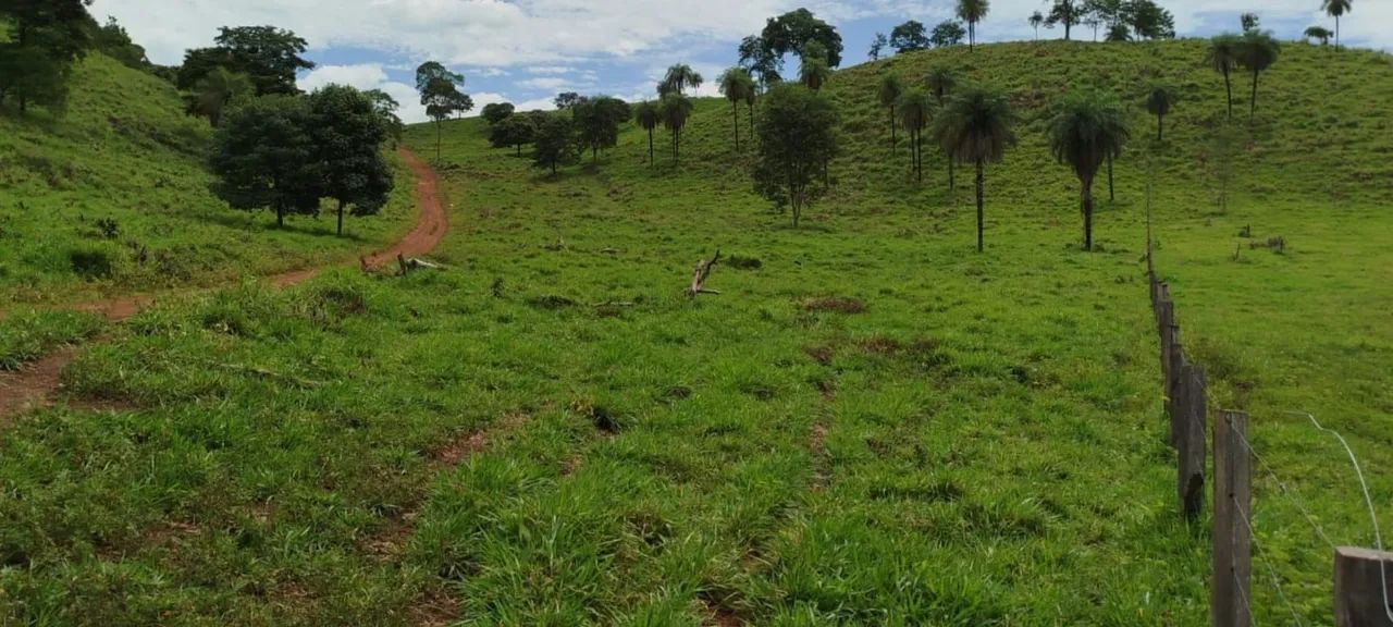 Fazenda entre Palmas to e Barrolândia to - Foto 7