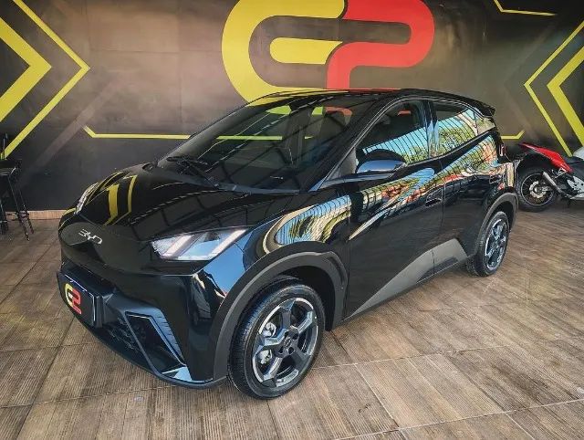 BYD Dolphin Mini 2024