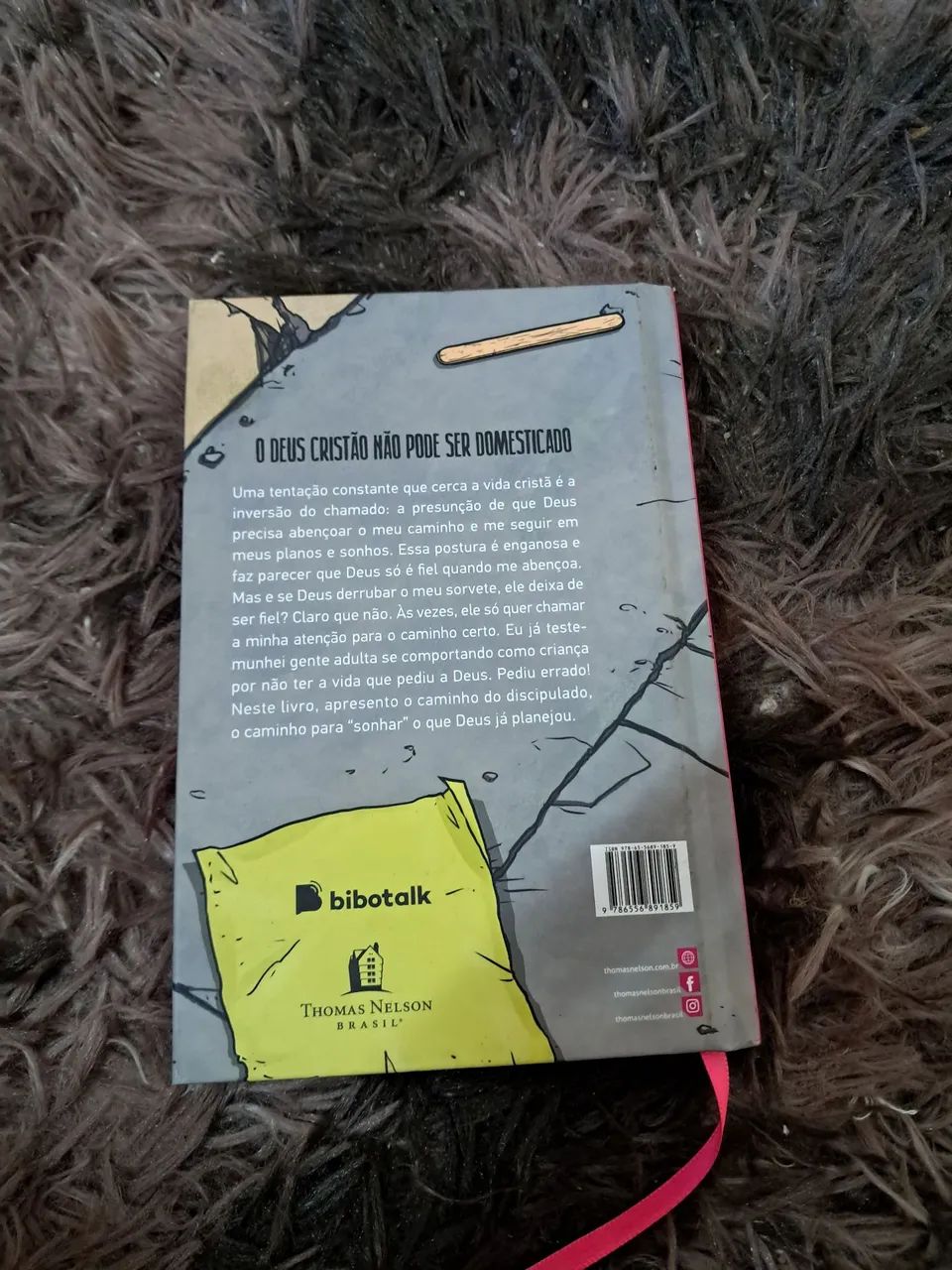 O Deus Que Destrói Sonhos - Livro - Foto 2