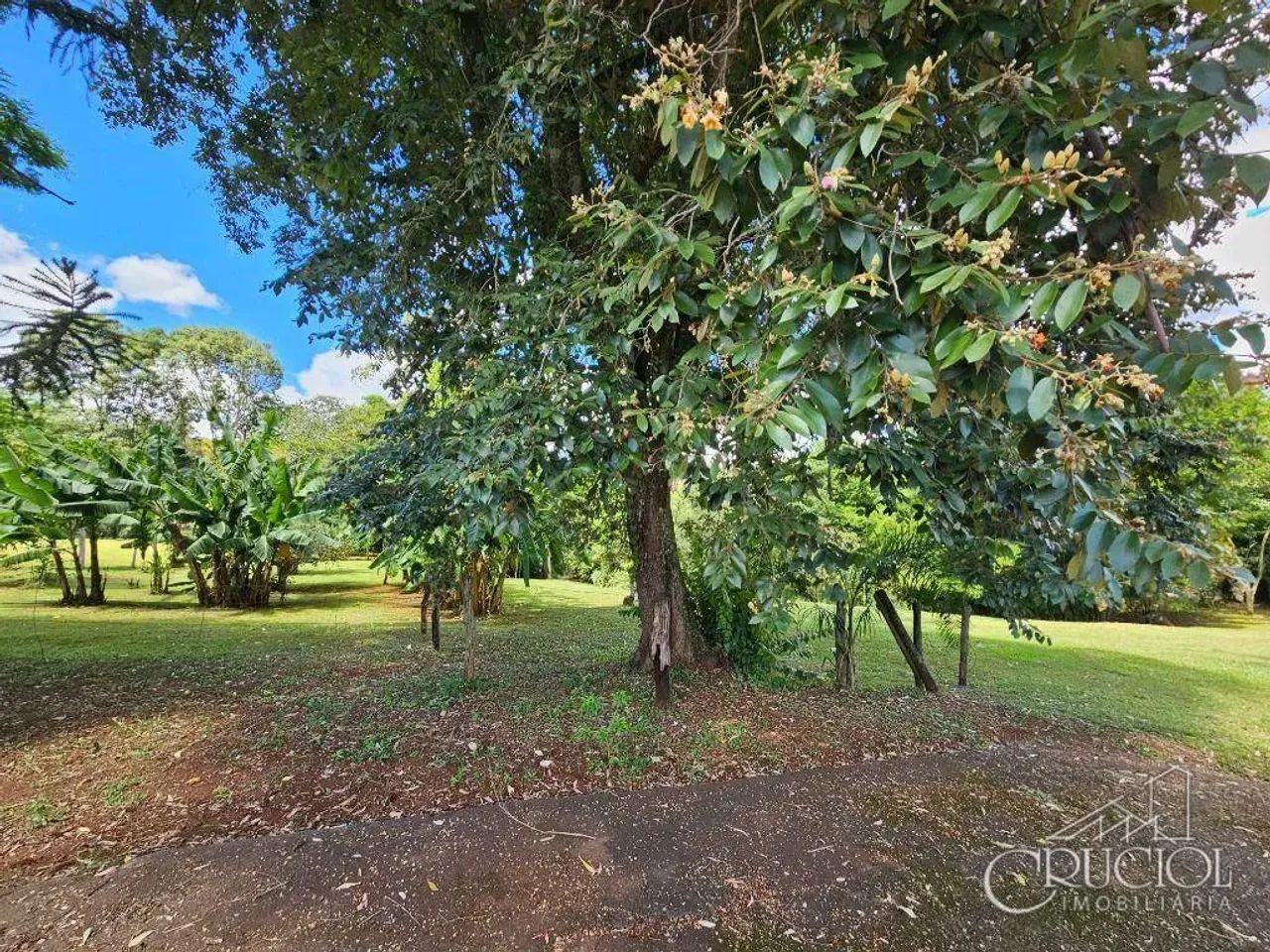Chácara à venda, 24619 m² por R$ 1.750.000,00 - Gleba Palhano - Londrina/PR - Foto 5