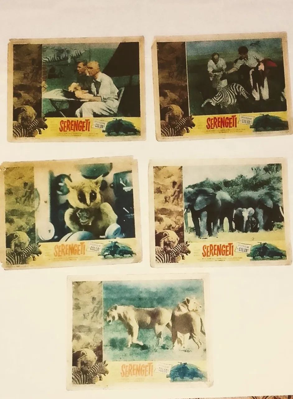 Cartaz de cinema  Hollywood antigo Lobcards 