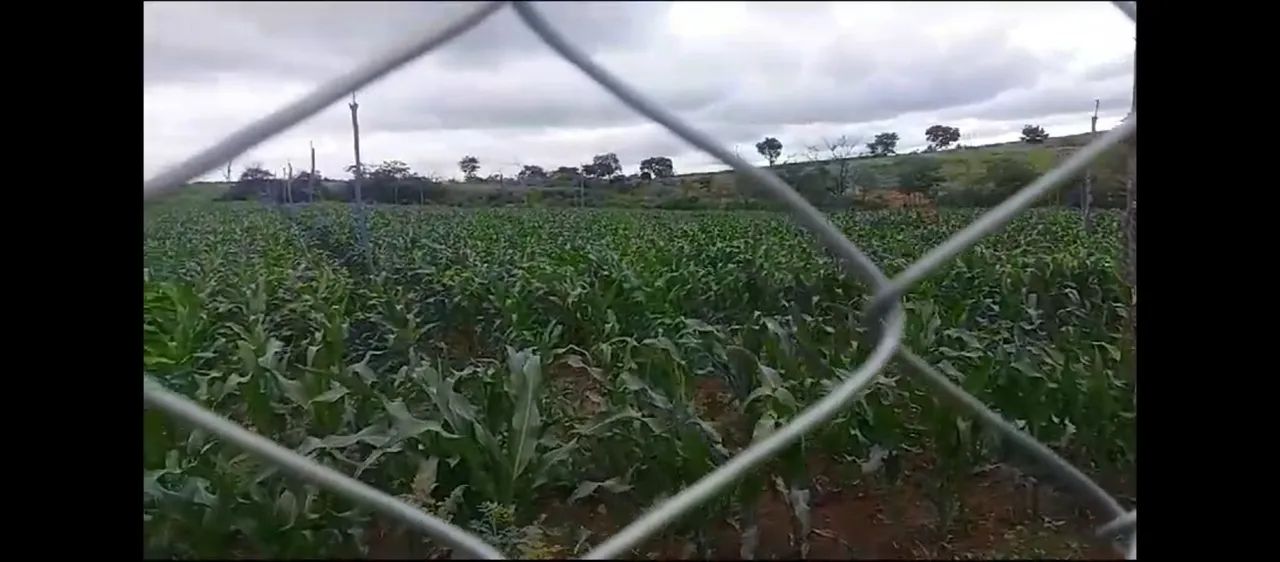 Ótima Estrutura Numa Área 5 hectares.100% Aproveitável..Aceita veículo/imóvel.. - Foto 8