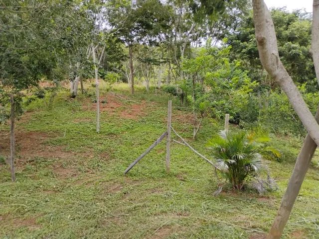 Terreno arborizado em Praia Linda - São Pedro da Aldeia - Foto 3