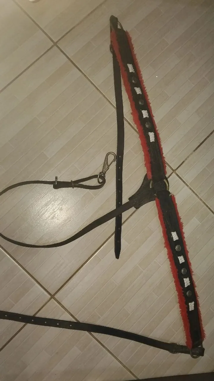 Peitoral para cavalo 