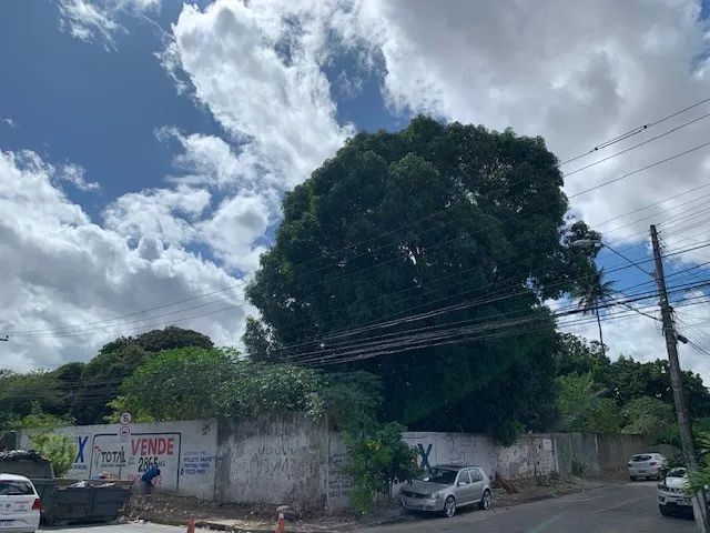 TERRENO para alugar na cidade de FORTALEZA-CE - Foto 4