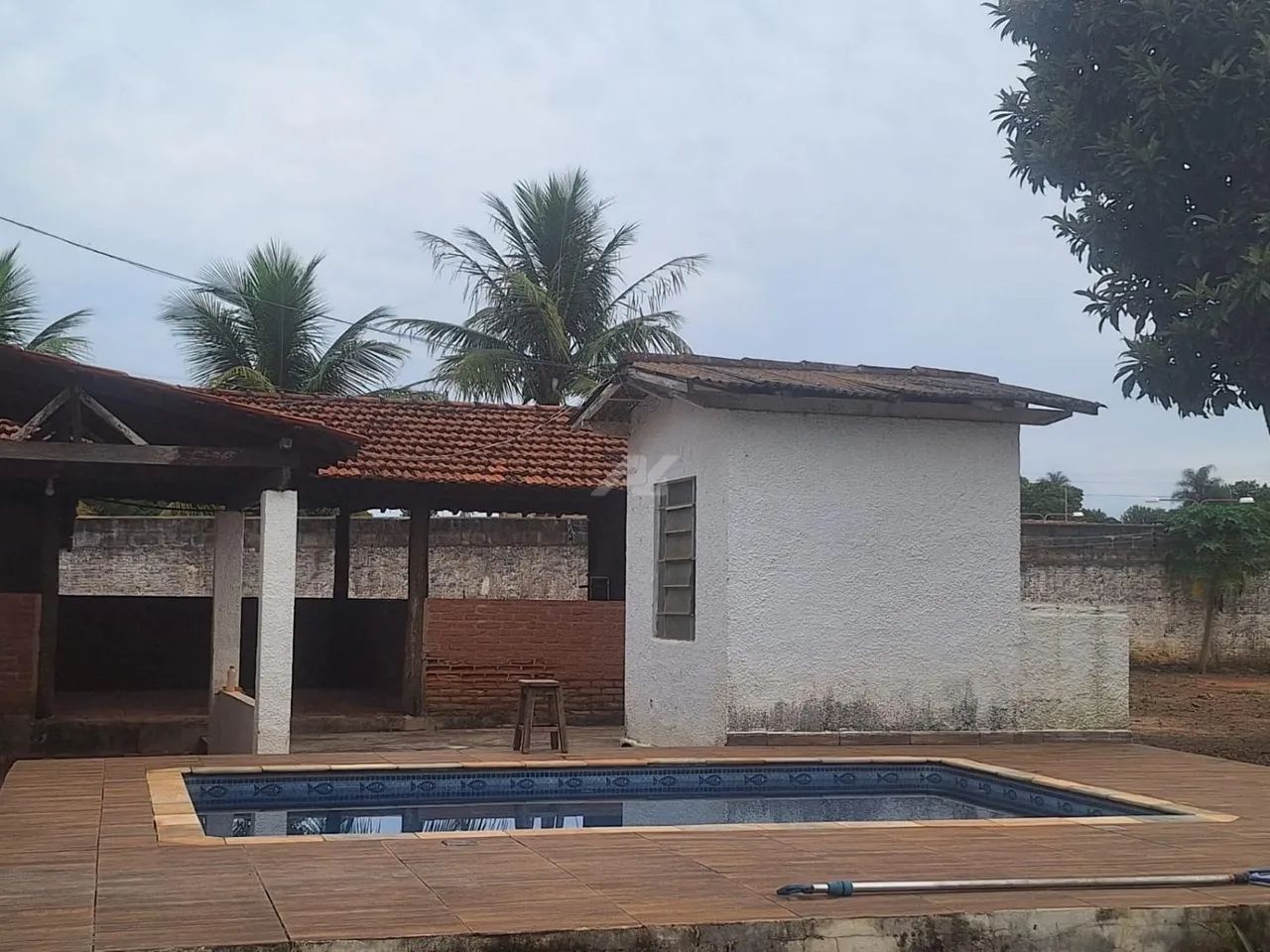 chácara - Vila Hollândia - Campinas - Foto 3