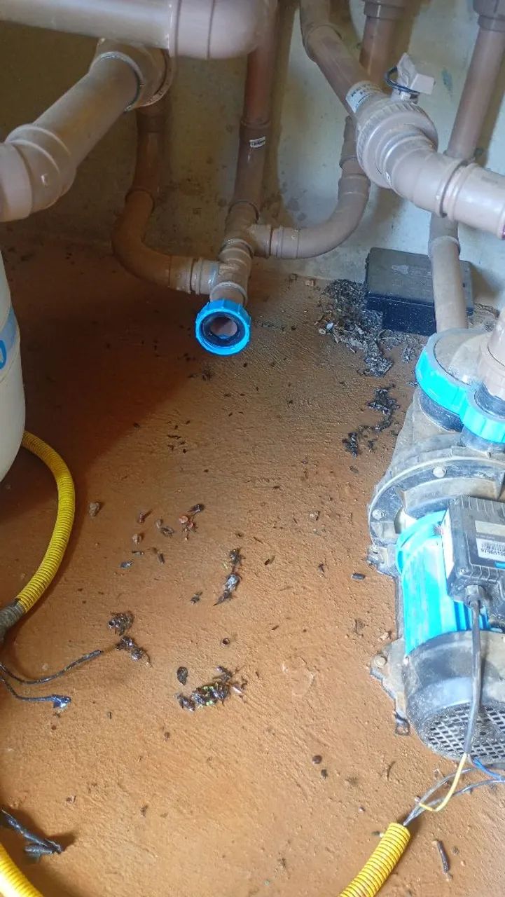 Manutenção e reparos em equipamentos de piscina