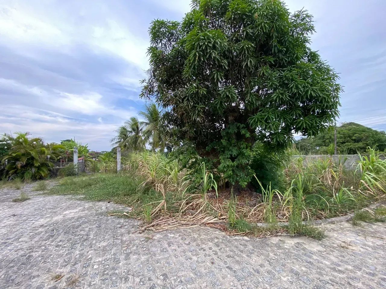 Imóvel para aluguel com 15 metros quadrados com 3 quartos - Foto 3