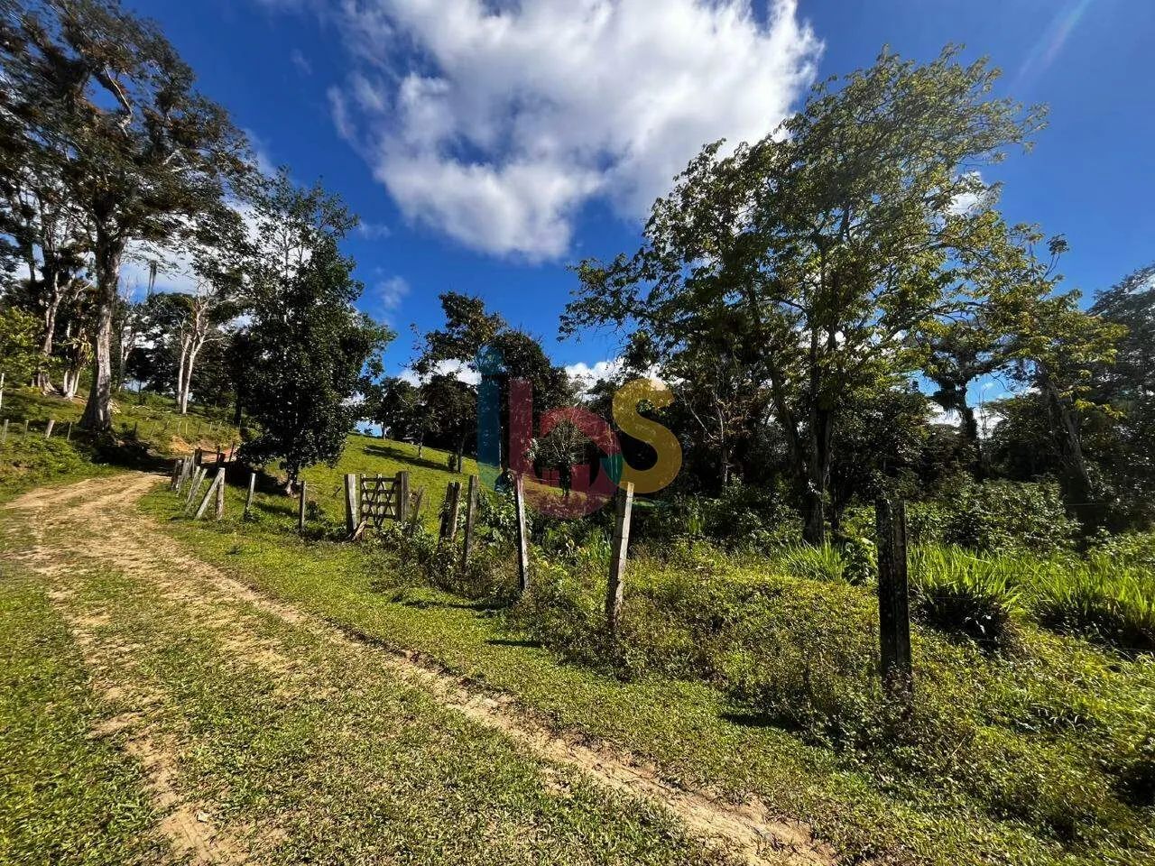 VENDO FAZENDA DE 33ha - URUÇUCA - Foto 3