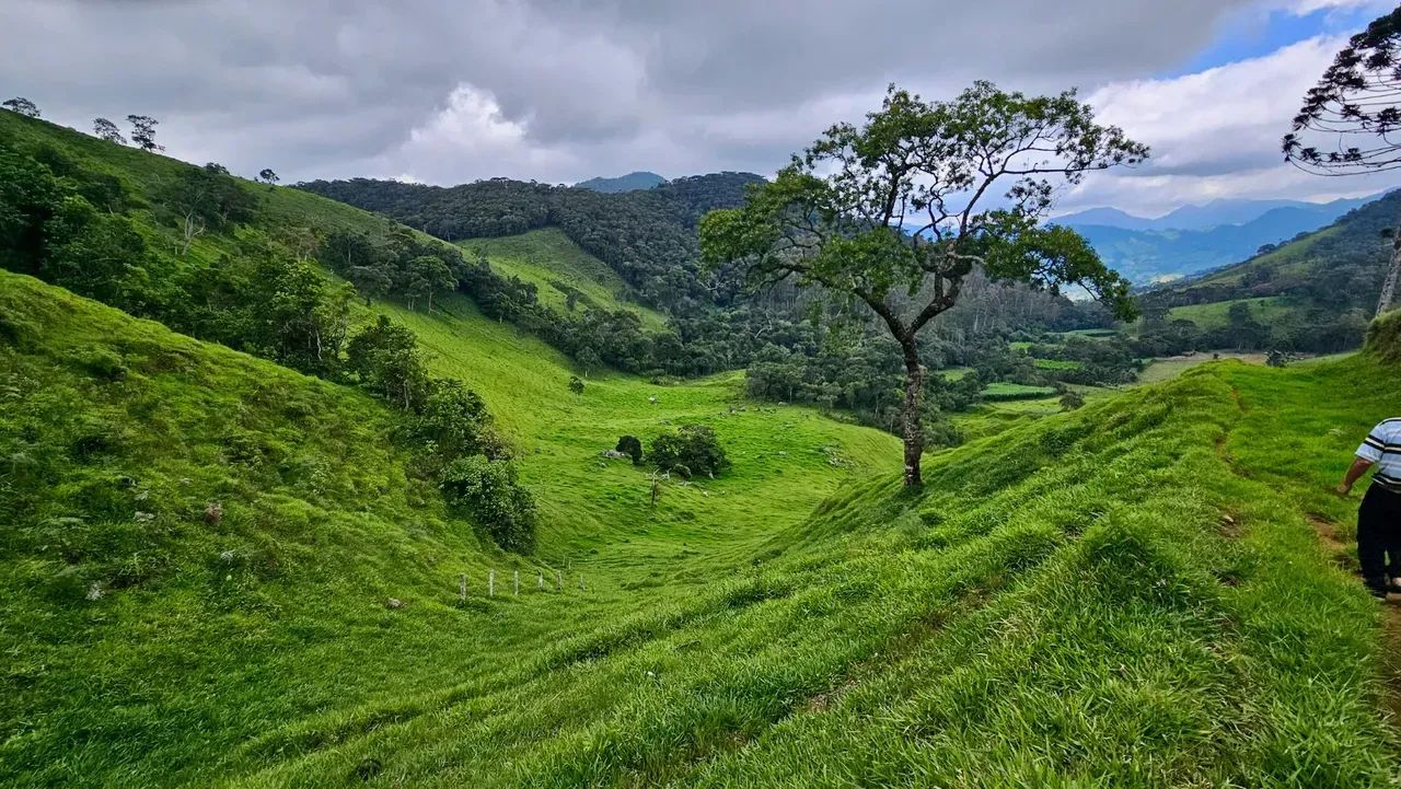 Fazenda com 284,5 ha em Brazópolis - MG - Foto 5