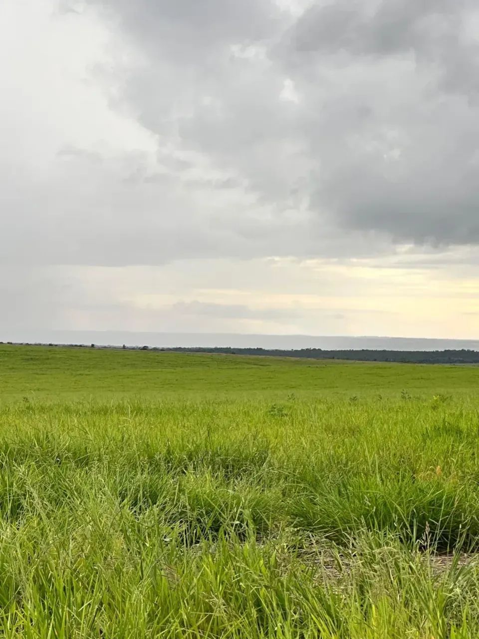 Fazenda a venda, no Tocantins 8 anos para pagar!