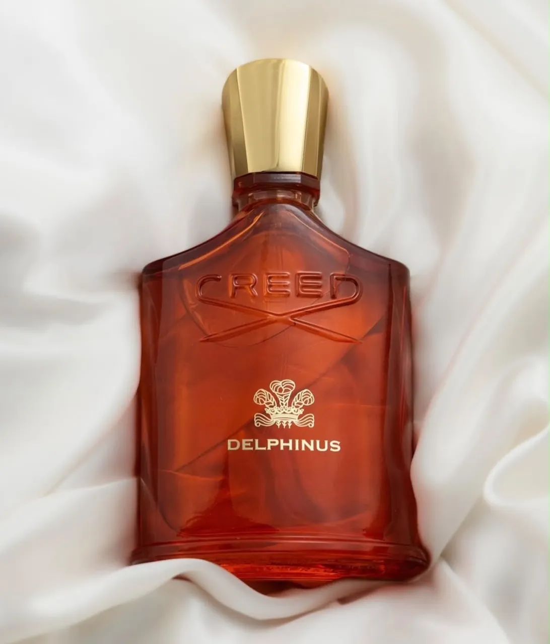 Creed Delphinus 100ml