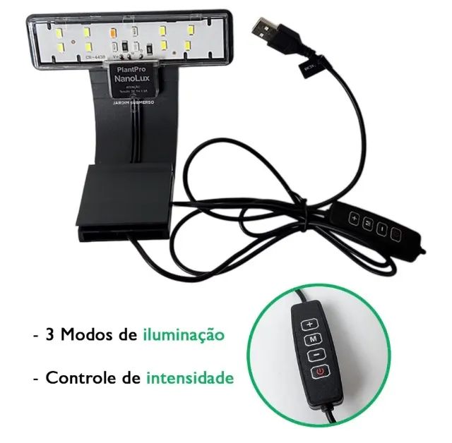 Iluminaria  - Foto 3