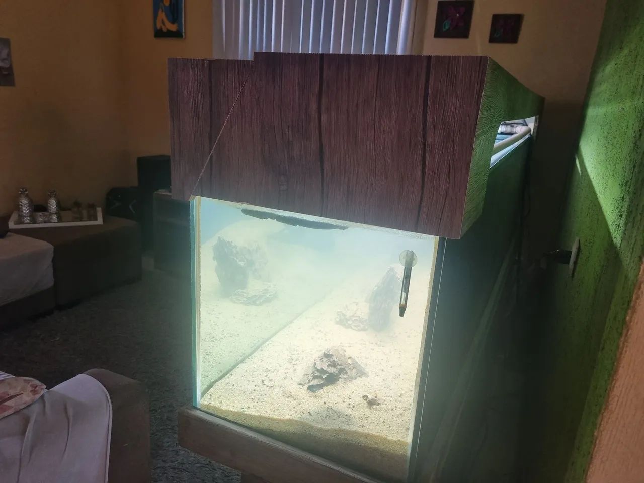 AQUÁRIO DE 550 LITROS  - Foto 6