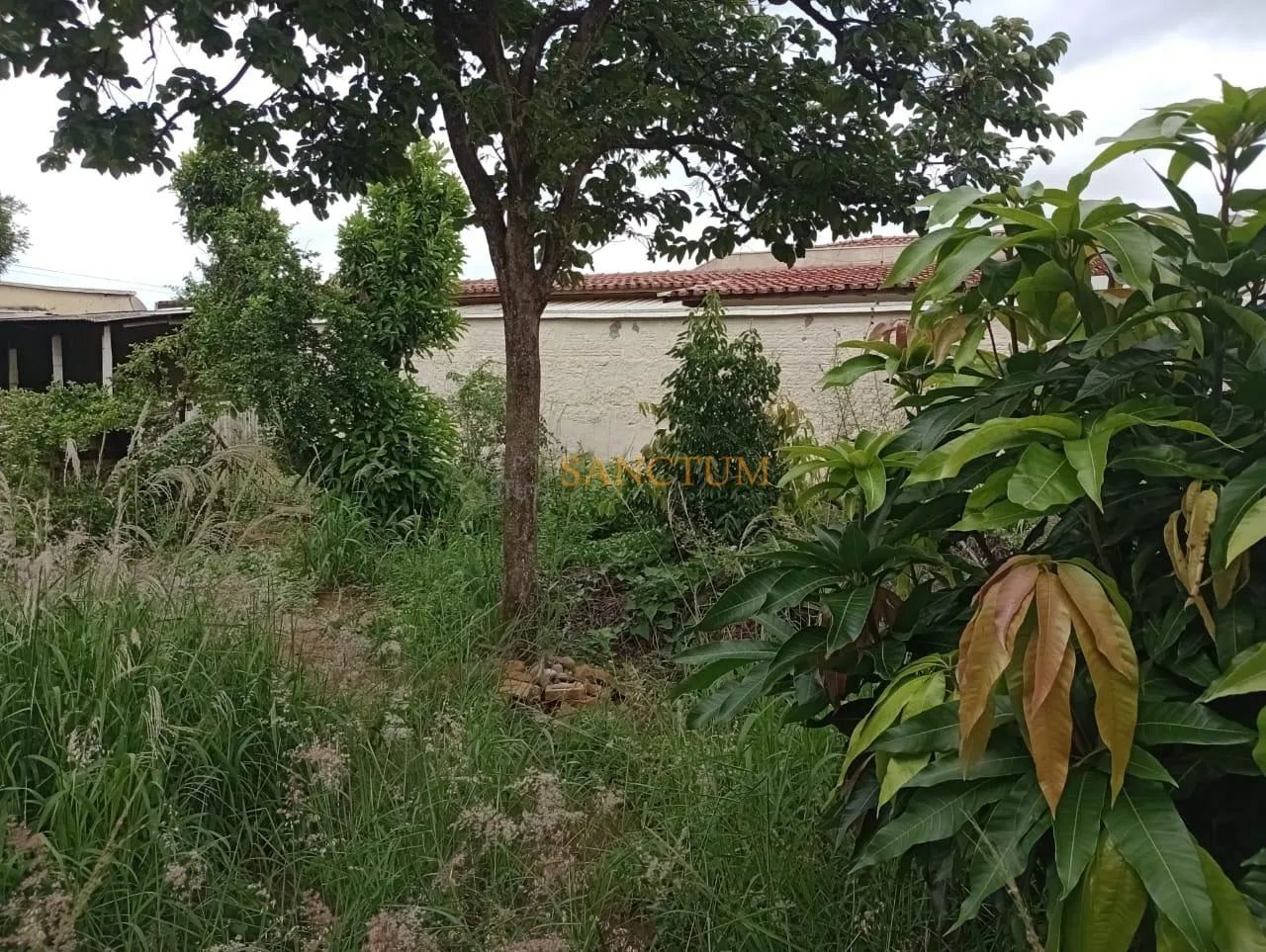 terreno - Jardim Eulina - Campinas - Foto 2