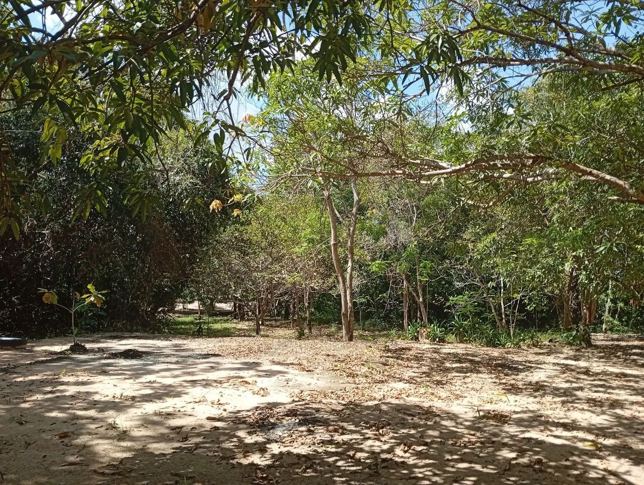 Vende-se um sítio  - Foto 2