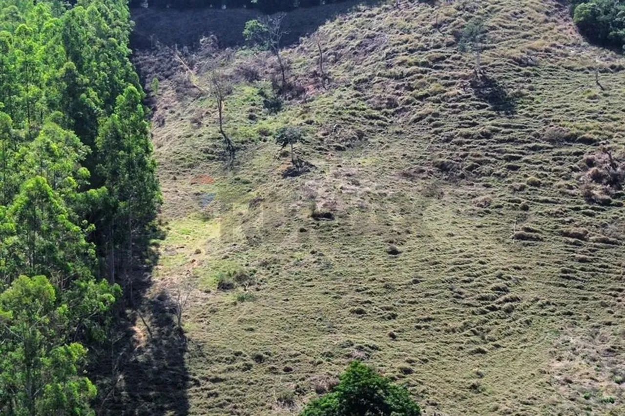 Sítio de 7,7 hectares em Maripá de Minas - Foto 5