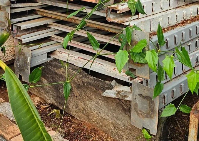 Estante porta pallet - Foto 4