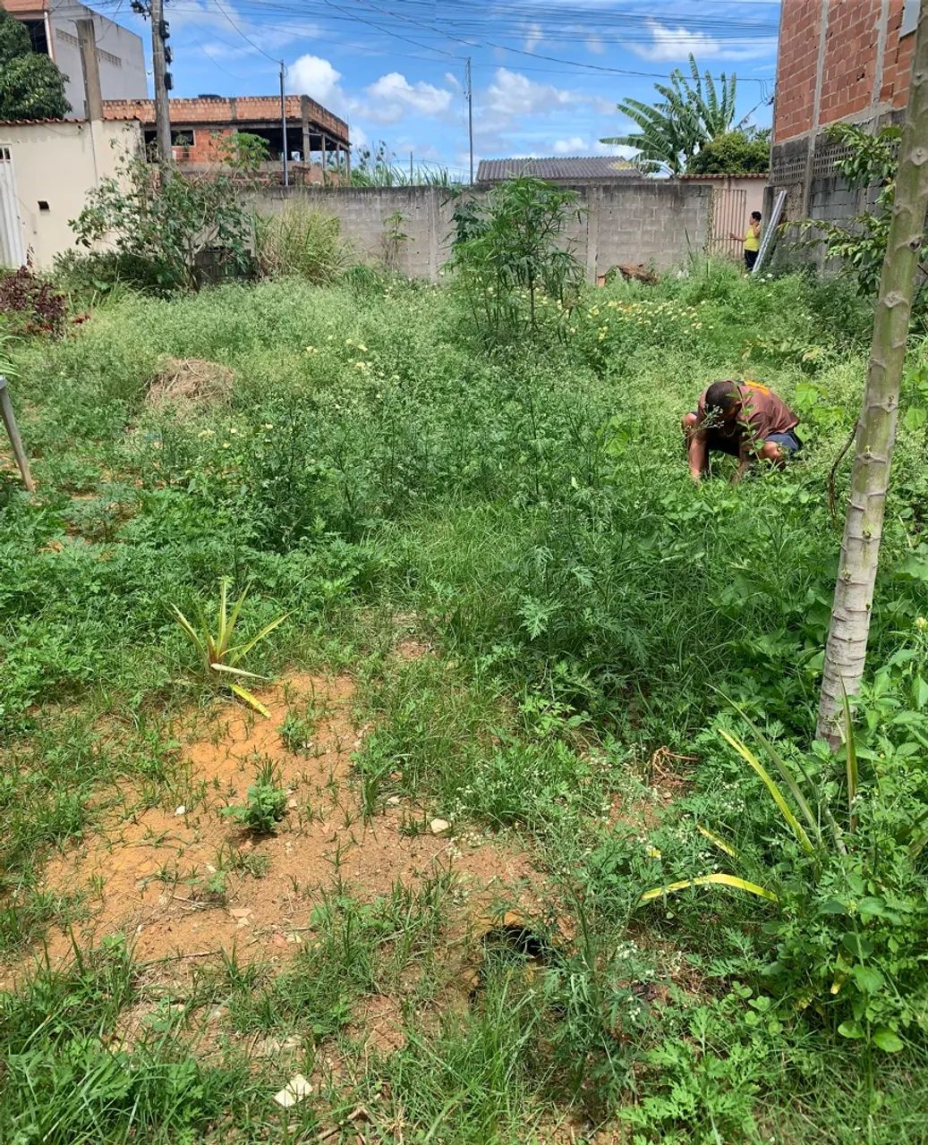 lote em ótima localização  - Foto 4