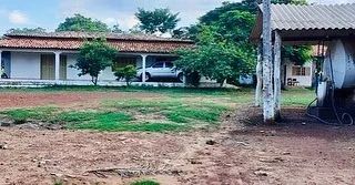 FAZENDA EM CODO - Foto 6