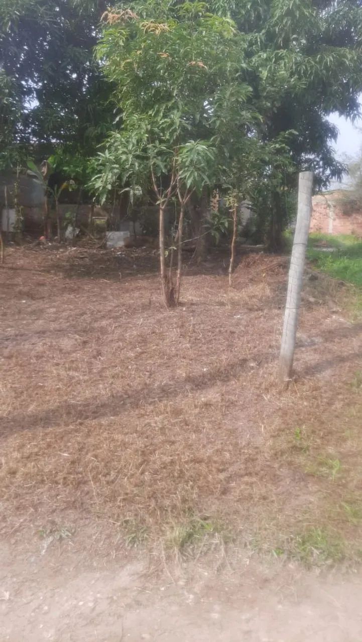 Terreno  - Foto 2