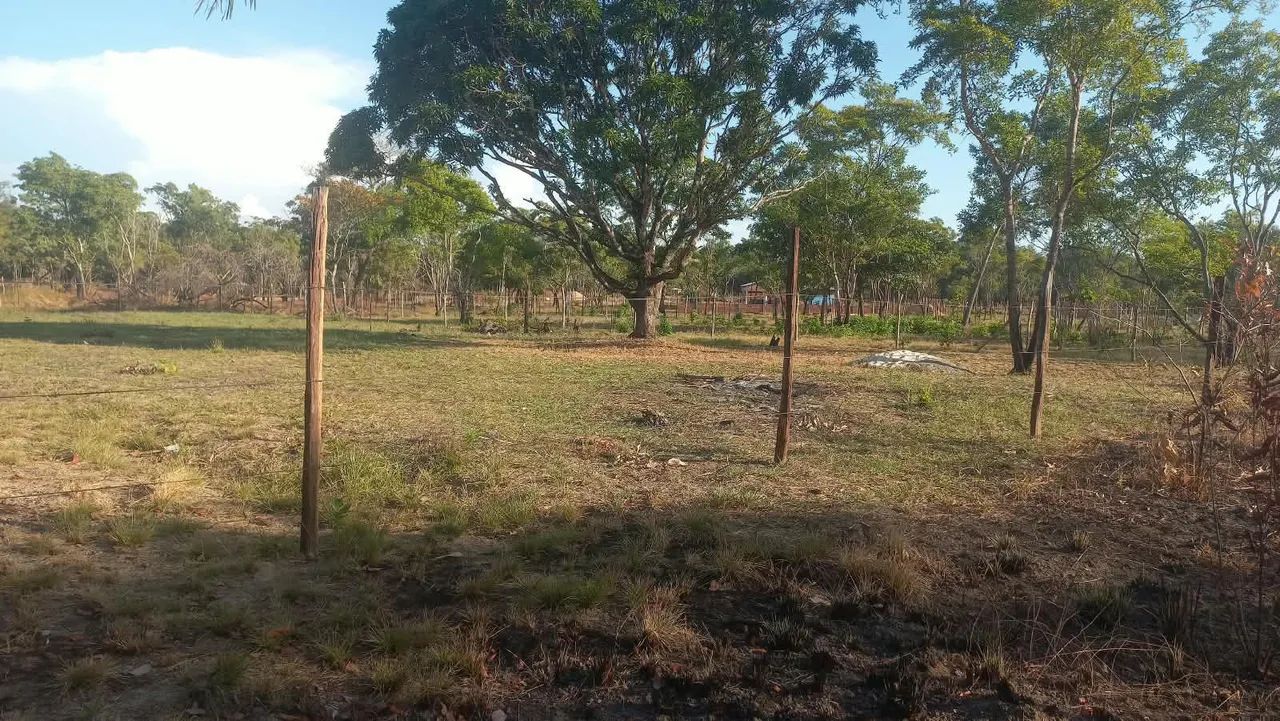 ? TERRENO À VENDA NO BAIRRO GOIABAL! ? - Foto 2