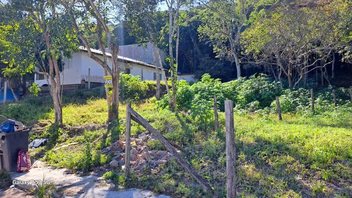 TERRENO,  Ponta das Canas - Florianópolis - SC - Foto 4