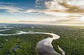 AMAZONAS: Fazenda a venda de 450 mil hectares, com a documentação completa - Foto 3