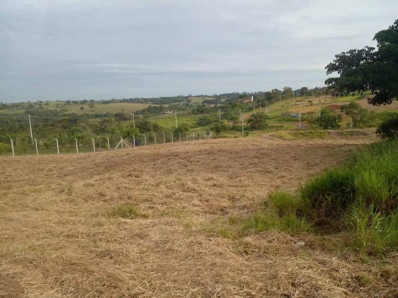 Chácara para Venda em Presidente Prudente / SP no bairro Vila Maria - Foto 2