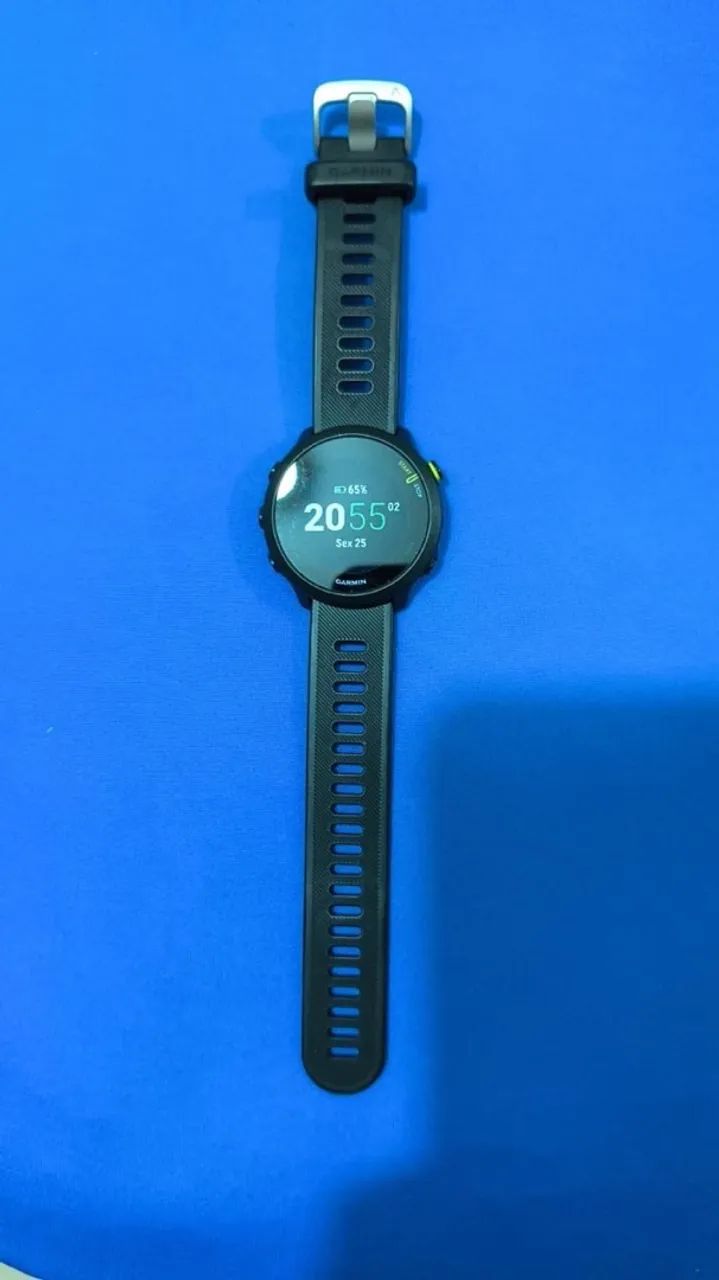 Garmin Forerunner 55 