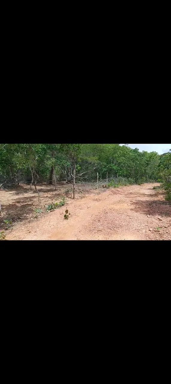Venda terreno  - Foto 4