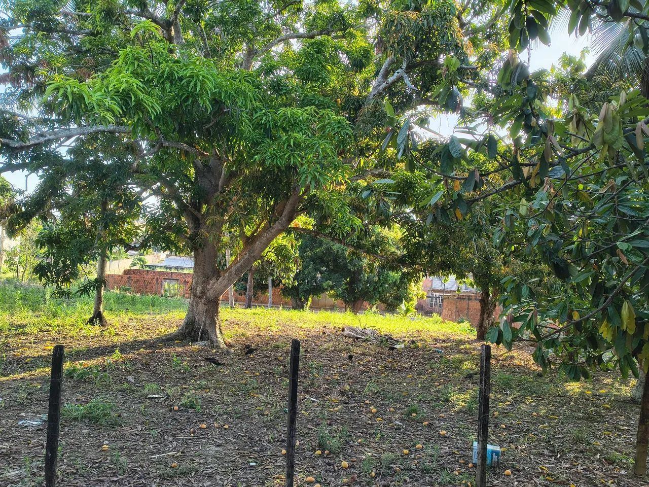 vende-se terreno 36x36 - Foto 2