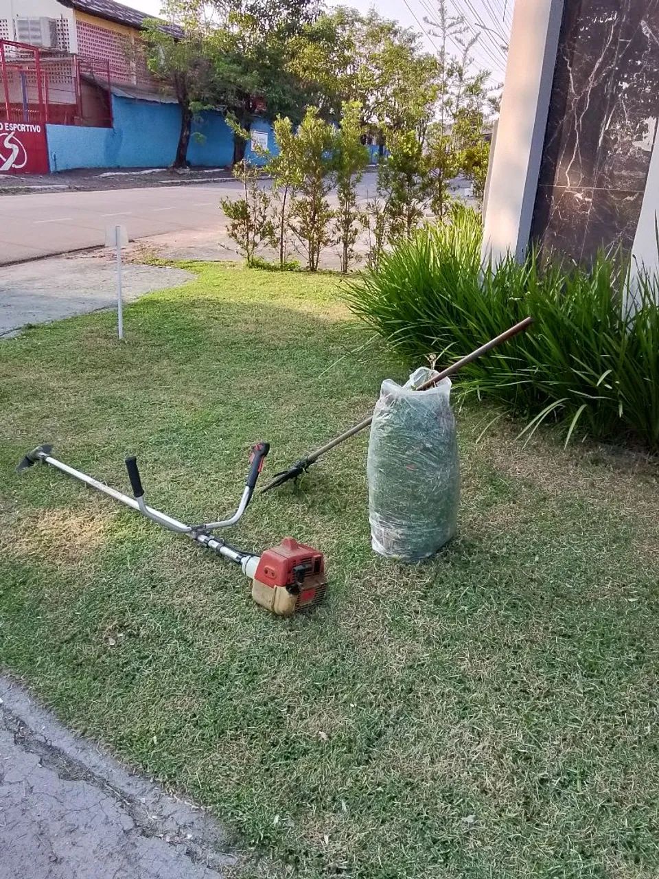 Limpeza de jardim e Roçado interessado no chat  - Foto 4