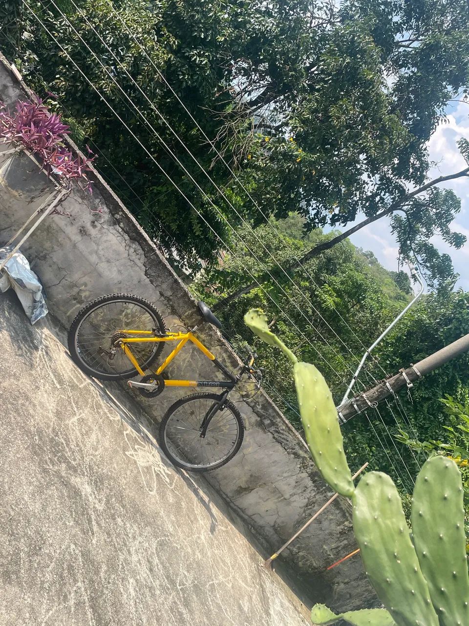 Bicicleta Caloi 