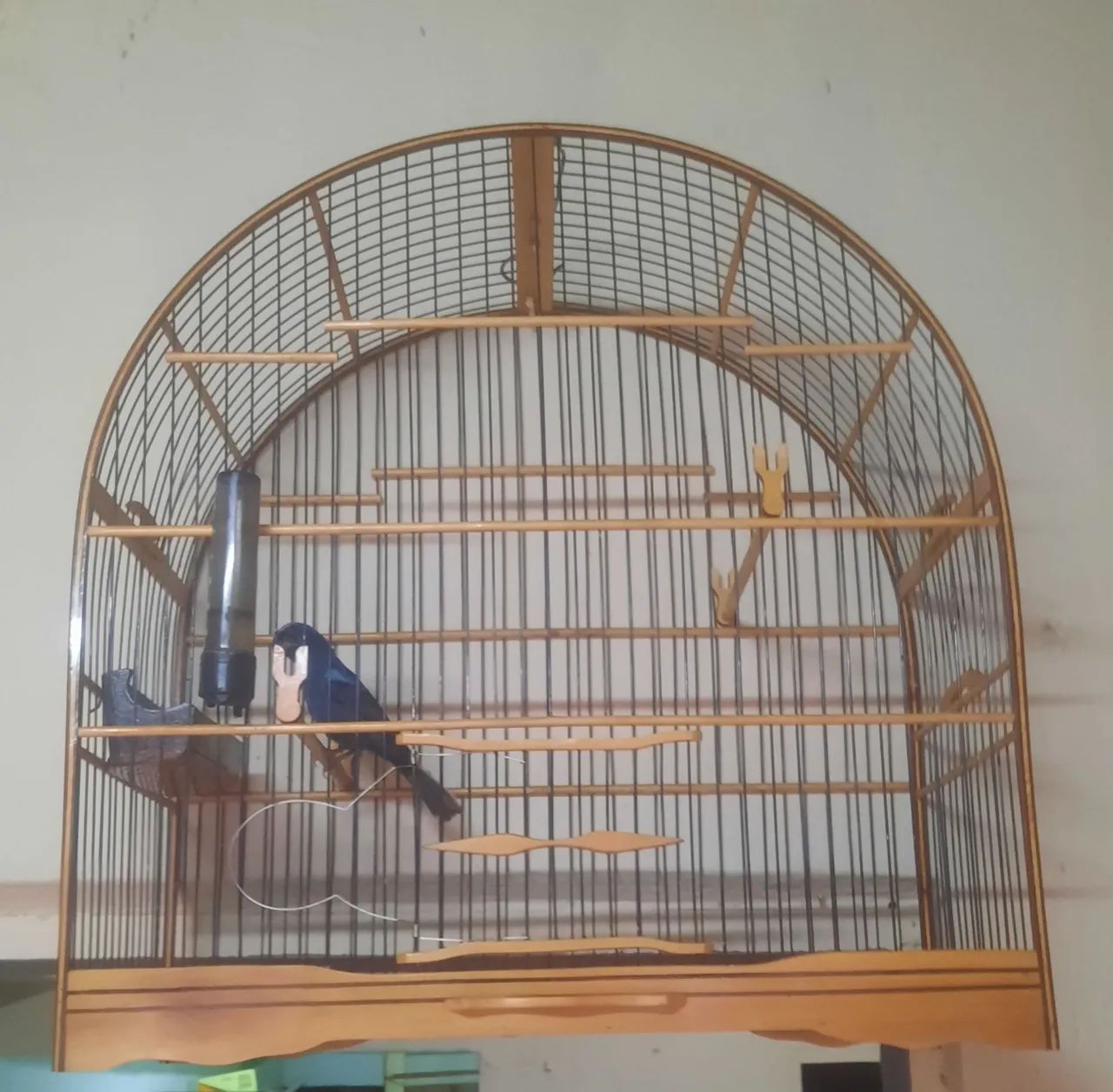 Cage